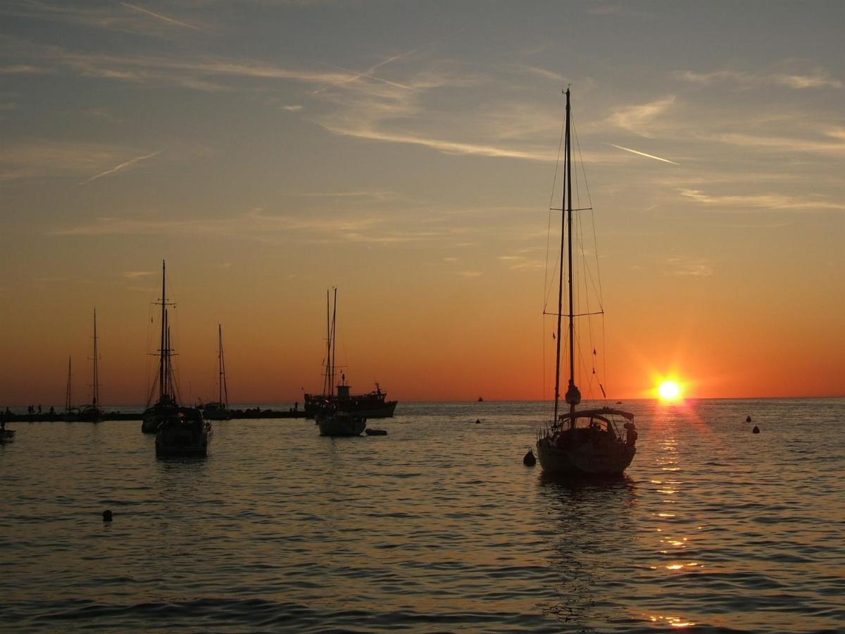 Elena, 100 M From The Beach Novigrad Istria Exterior foto